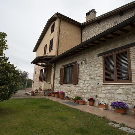 Assisana Affittacamere Santa Maria Degli Angeli  Exterior foto